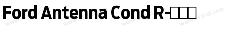 Ford Antenna Cond R字体转换